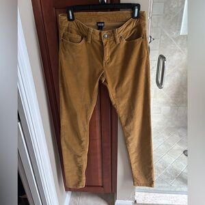 Patagonia Corduroy Pant